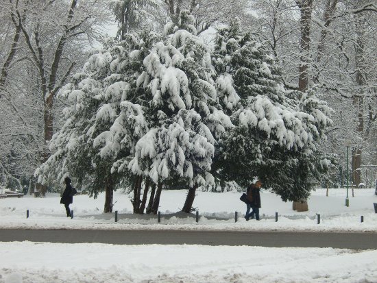 neige 2010